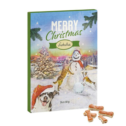 Calendrier de l'Avent chien 2023 Lukullus friandises pour Chiens