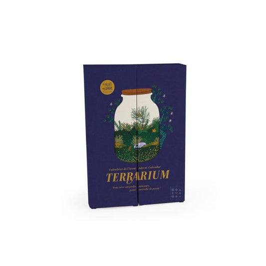 Calendrier de l'Avent DIY Nature et Découvertes Terrarium 2021